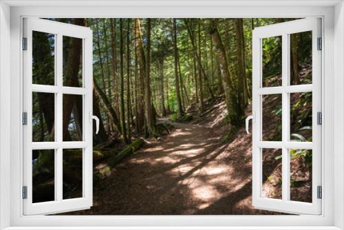 Fototapeta Naklejka Na Ścianę Okno 3D - Deserted forest path on a sunny summer day. Concept of adventure and exploration.