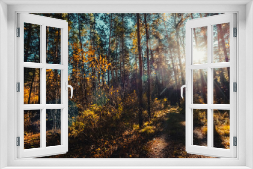 Fototapeta Naklejka Na Ścianę Okno 3D - Amazing scenic landscape at early morning in autumn forest. Dazzling bright sunlight through tree branches silhouettes. Rich fall foliage glitter in sunbeams. Wonderful sunrise. Lovely sunset scenery.