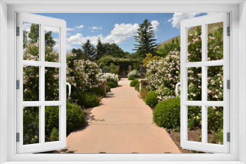 Fototapeta Naklejka Na Ścianę Okno 3D - Lush rose garden