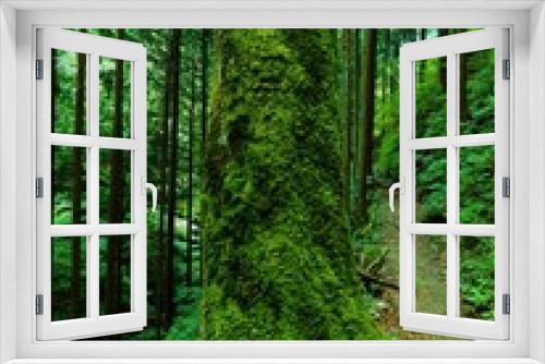 Fototapeta Naklejka Na Ścianę Okno 3D - 苔むした木