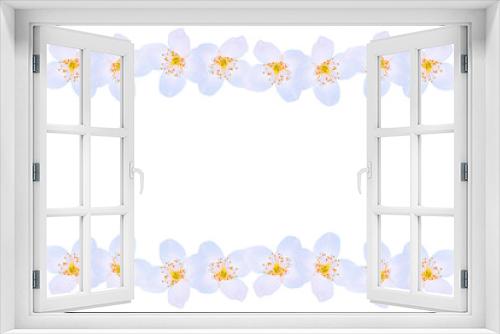 Fototapeta Naklejka Na Ścianę Okno 3D - branch of jasmine flowers isolated on white background.