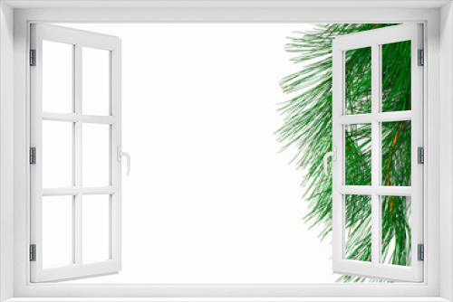 Fototapeta Naklejka Na Ścianę Okno 3D - The branch of a christmas tree on white background