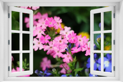Fototapeta Naklejka Na Ścianę Okno 3D - Pink Dream