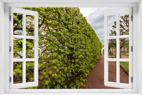 Fototapeta Naklejka Na Ścianę Okno 3D - path in garden