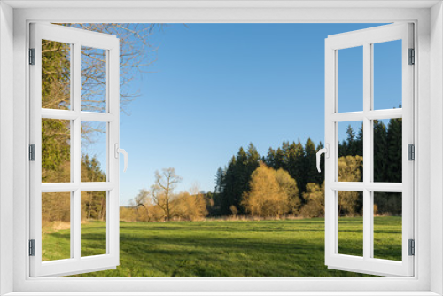 Fototapeta Naklejka Na Ścianę Okno 3D - Scenic summer landscape with green fields