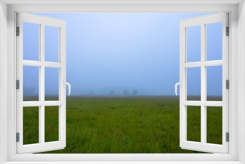 Fototapeta Naklejka Na Ścianę Okno 3D - Foggy morning in Midewin