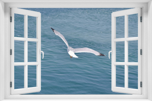 Fototapeta Naklejka Na Ścianę Okno 3D - Flying seagull over the sea