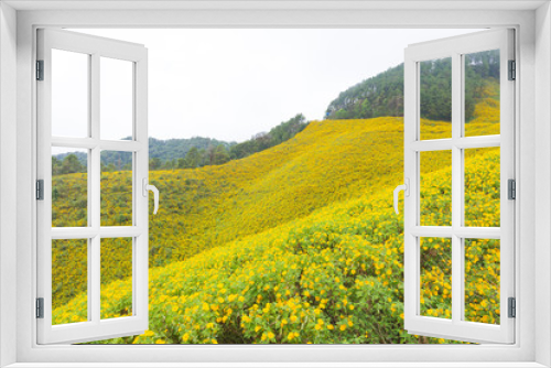 Fototapeta Naklejka Na Ścianę Okno 3D - Yellow flower field