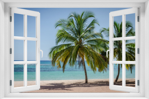 Fototapeta Naklejka Na Ścianę Okno 3D - Coconut palm trees on white sandy beach in Saona island, Dominican Republic