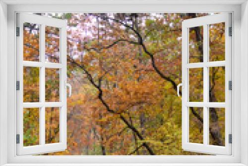 Fototapeta Naklejka Na Ścianę Okno 3D - Many beautiful gardens in Virginia America