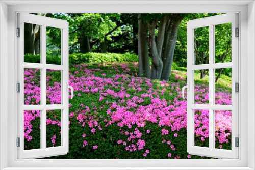 Fototapeta Naklejka Na Ścianę Okno 3D - 植栽の花