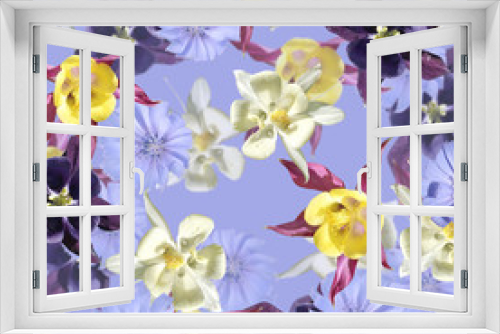 Fototapeta Naklejka Na Ścianę Okno 3D - Beautiful floral background of aquilegia and chicory. Isolated