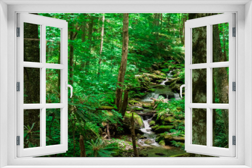 Fototapeta Naklejka Na Ścianę Okno 3D - Smoky Mountain Tennessee