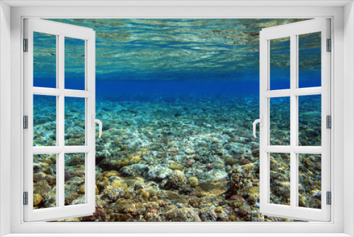 Fototapeta Naklejka Na Ścianę Okno 3D - 沖縄のサンゴ礁