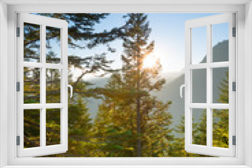 Fototapeta Naklejka Na Ścianę Okno 3D - Mount Rainier National Park, Washington State, USA