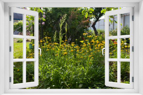 Fototapeta Naklejka Na Ścianę Okno 3D - A flower garden in the backyard.Selective focus