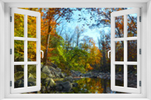 Fototapeta Naklejka Na Ścianę Okno 3D - Autumn and Trees in North America Parks...