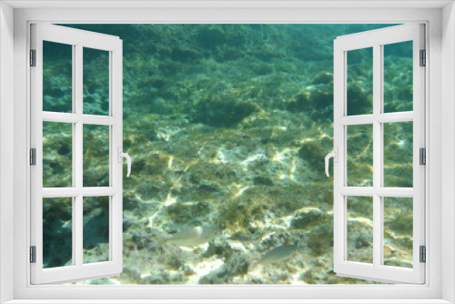 Fototapeta Naklejka Na Ścianę Okno 3D - view of sea and coral reef underwater