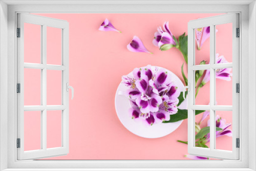 Fototapeta Naklejka Na Ścianę Okno 3D - beautiful flowers of astromeria with a white cup on a pink background