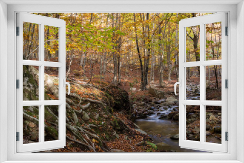 Fototapeta Naklejka Na Ścianę Okno 3D - Montseny Natural Park