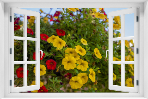 Fototapeta Naklejka Na Ścianę Okno 3D - Red Yellow Flowers