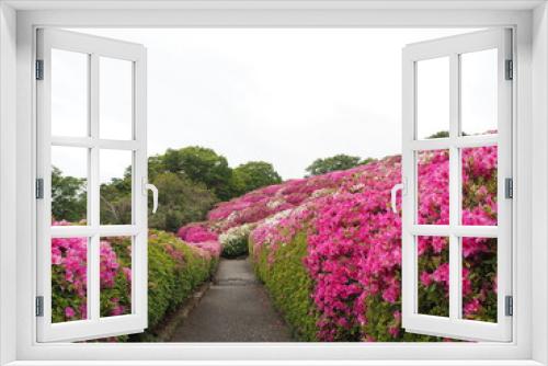 Fototapeta Naklejka Na Ścianę Okno 3D - the azalea flower garden