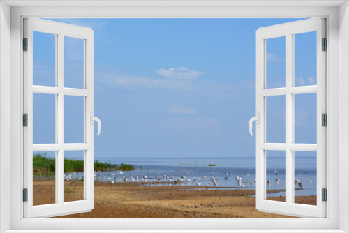 Fototapeta Naklejka Na Ścianę Okno 3D - A lake with seagulls on the water and a blue cloudy sky and a sandy beach with seashells in the foreground. Summer landscape with a lake.Lake Ilmen Novgorod region