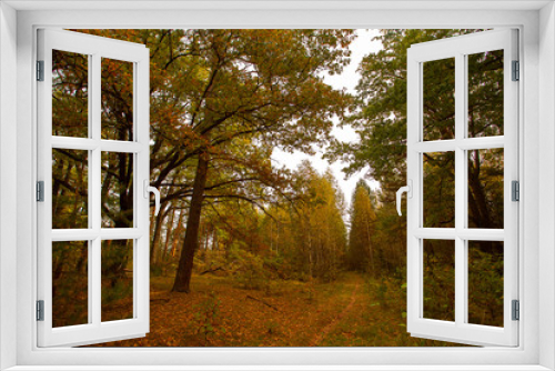 Fototapeta Naklejka Na Ścianę Okno 3D - autumn beautiful panoramic rural landscape