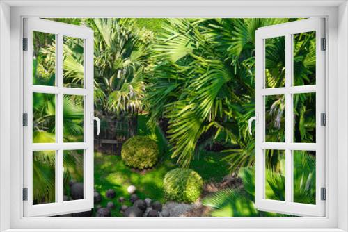 Fototapeta Naklejka Na Ścianę Okno 3D - Green palm trees and stone in nature.