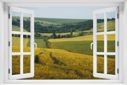 Fototapeta Naklejka Na Ścianę Okno 3D - Landscape of crops fields. Yellow and green picture.