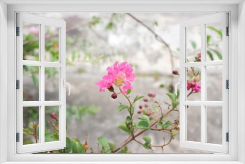 Fototapeta Naklejka Na Ścianę Okno 3D - Pink Flower..