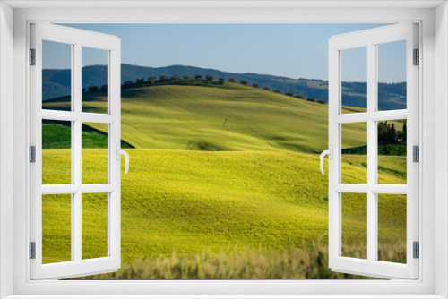 Fototapeta Naklejka Na Ścianę Okno 3D - Beautifully illuminated landscape of Tuscany . green hills
