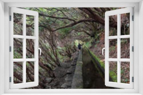 Fototapeta Naklejka Na Ścianę Okno 3D - Trekking of 25 fontes and Risco Waterfall in Madeira (Portugal)