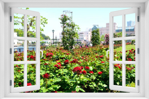 Fototapeta Naklejka Na Ścianę Okno 3D - 春の公園　神奈川県横須賀市ヴェルニー公園の風景