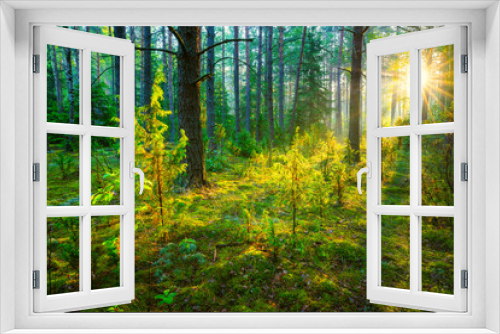 Fototapeta Naklejka Na Ścianę Okno 3D - Green forest