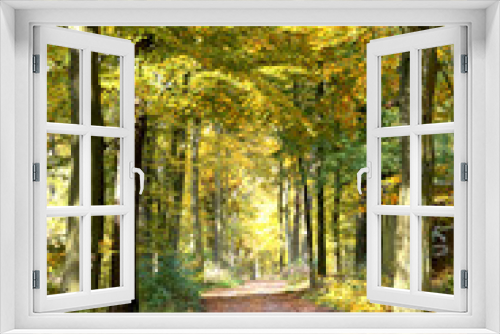 Fototapeta Naklejka Na Ścianę Okno 3D - Wald Stimmung im Herbst