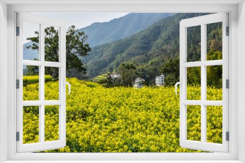 Fototapeta Naklejka Na Ścianę Okno 3D - Crops in Wuyuan County, Shangrao City, Jiangxi, China: rape flowers