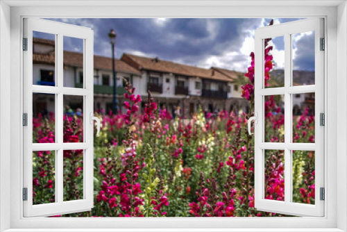 Fototapeta Naklejka Na Ścianę Okno 3D - A field of red and white flowers adorn the town center in Cusco, Peru