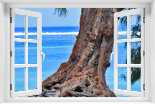Fototapeta Naklejka Na Ścianę Okno 3D - Arbre - Ile de la Reunion