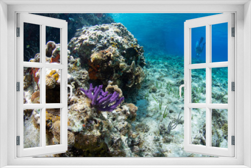 Fototapeta Naklejka Na Ścianę Okno 3D - Coral reef, Cozumel, Mexico