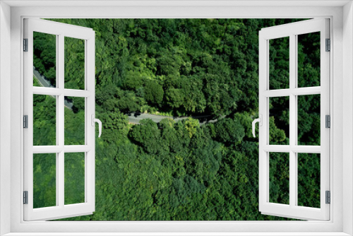 Fototapeta Naklejka Na Ścianę Okno 3D - Aerial view forest