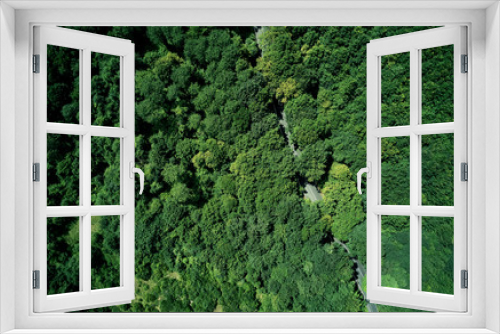 Fototapeta Naklejka Na Ścianę Okno 3D - Aerial view forest