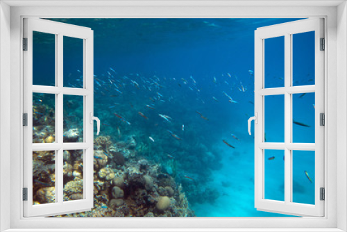 Fototapeta Naklejka Na Ścianę Okno 3D - coral coast