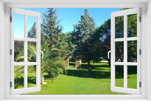 Fototapeta Naklejka Na Ścianę Okno 3D - Palme im Park