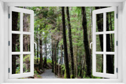 Fototapeta Naklejka Na Ścianę Okno 3D - Empty foot path trail through lonely park hike in the woods. Scenic landscape nature woodland walk setting in the mountains of Ketchikan Alaska on sunny day in the autumn season