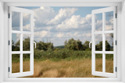 Fototapeta Naklejka Na Ścianę Okno 3D - Summer landscape with a grassy meadow and a road going into the forest over blue sky with cumulus clouds