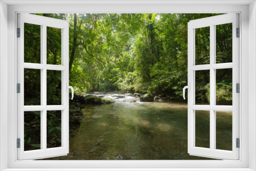 Fototapeta Naklejka Na Ścianę Okno 3D - Wild nature Near Waterfall  forest prolific ,in Phang Nga National Park, Thailand