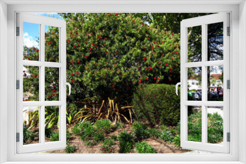 Fototapeta Naklejka Na Ścianę Okno 3D - tree in the garden
