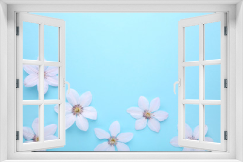 Fototapeta Naklejka Na Ścianę Okno 3D - Frame of white flowers on blue background, flat lay