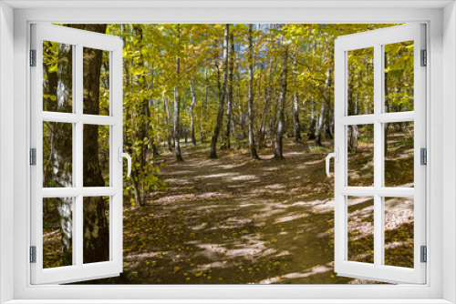 Fototapeta Naklejka Na Ścianę Okno 3D - Footpath in the forest park.